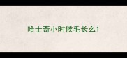 哈士奇小时候毛长么