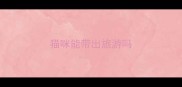 猫咪能带出旅游吗