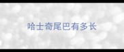 哈士奇尾巴有多长