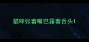 猫咪张着嘴巴露着舌头