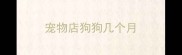 宠物店狗狗几个月