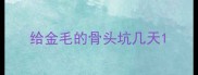 给金毛的骨头坑几天