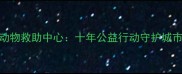 长春流浪动物救助中心十年公益行动守护城市毛孩家园