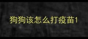 狗狗该怎么打疫苗