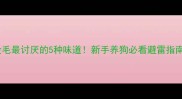 金毛最讨厌的5种味道新手养狗必看避雷指南