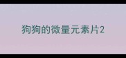 狗狗的微量元素片