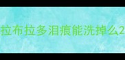 拉布拉多泪痕能洗掉么