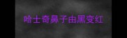 哈士奇鼻子由黑变红
