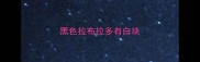 黑色拉布拉多有白块