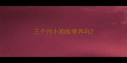 三个月小狗能寄养吗