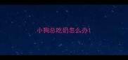 小狗总吃奶怎么办