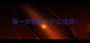 猫一岁需要打什么疫苗