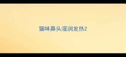 猫咪鼻头湿润发热