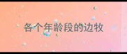 各个年龄段的边牧