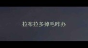拉布拉多掉毛咋办