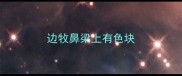 边牧鼻梁上有色块