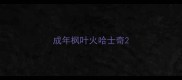 成年枫叶火哈士奇