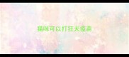 猫咪可以打狂犬疫苗