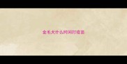 金毛犬什么时间打疫苗