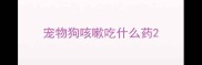 宠物狗咳嗽吃什么药