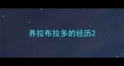 养拉布拉多的经历