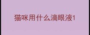 猫咪用什么滴眼液