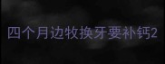 四个月边牧换牙要补钙