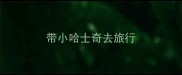 带小哈士奇去旅行