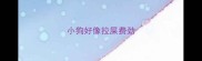 小狗好像拉屎费劲