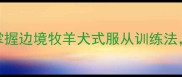 哈士奇训练口令大全7天掌握边境牧羊犬式服从训练法告别拆家乱吠的终极指南