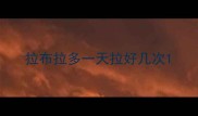 拉布拉多一天拉好几次