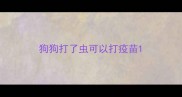狗狗打了虫可以打疫苗