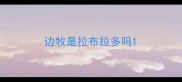 边牧是拉布拉多吗
