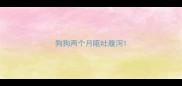 狗狗两个月呕吐腹泻