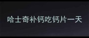 哈士奇补钙吃钙片一天