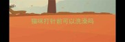 猫咪打针前可以洗澡吗