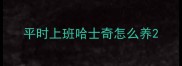 平时上班哈士奇怎么养