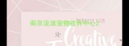 南京流浪宠物收养中心