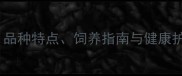 小拉布拉多全攻略品种特点饲养指南与健康护理附训练视频