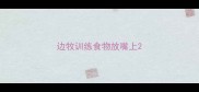 边牧训练食物放嘴上