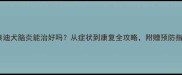泰迪犬脑炎能治好吗从症状到康复全攻略附赠预防指南