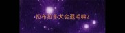 拉布拉多犬会退毛嘛