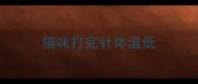 猫咪打完针体温低