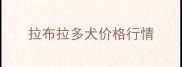 拉布拉多犬价格行情