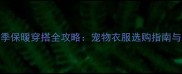 金毛犬冬季保暖穿搭全攻略宠物衣服选购指南与品牌推荐