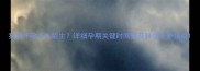 狗狗怀孕多久能生详细孕期关键时间表及科学养护指南