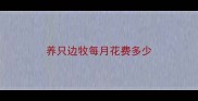 养只边牧每月花费多少