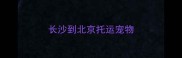 长沙到北京托运宠物