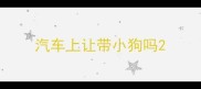 汽车上让带小狗吗
