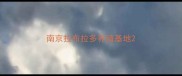 南京拉布拉多养殖基地